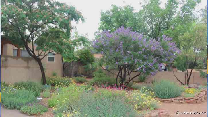 Water conservation rebates, tips from Albuquerque Bernalillo County Water Authority