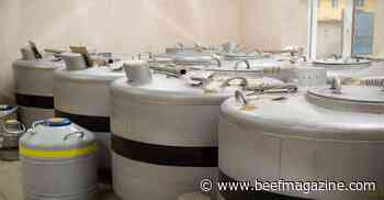 Estrus Synch Planner - how it works and how to use it