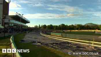 Wolverhampton Wolves 'devastated' after stadium blow