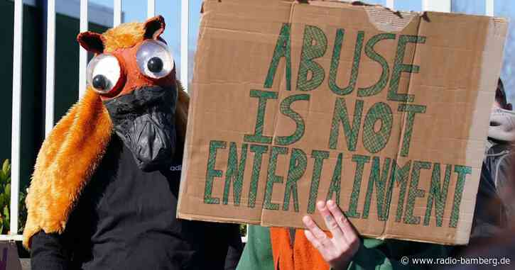 Englands tierische Traditionen in der Kritik