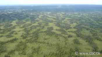 Contested oilsands project on northern Alberta wetland being reconsidered by regulator