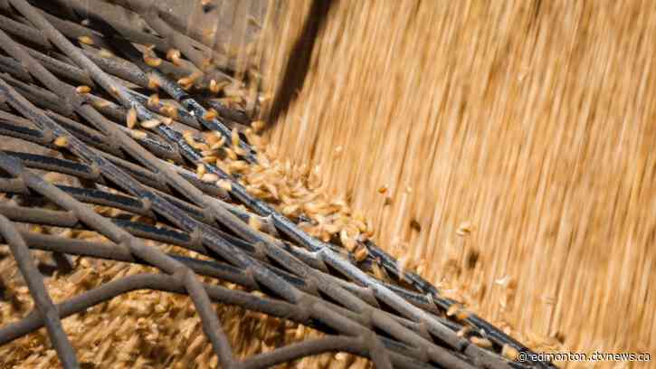 Prairie farmers hope for 'normal' season after volatile couple of years