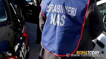 Impiegato "in nero" al bar: multa e obbligo di assumere il lavoratore per 3 mesi