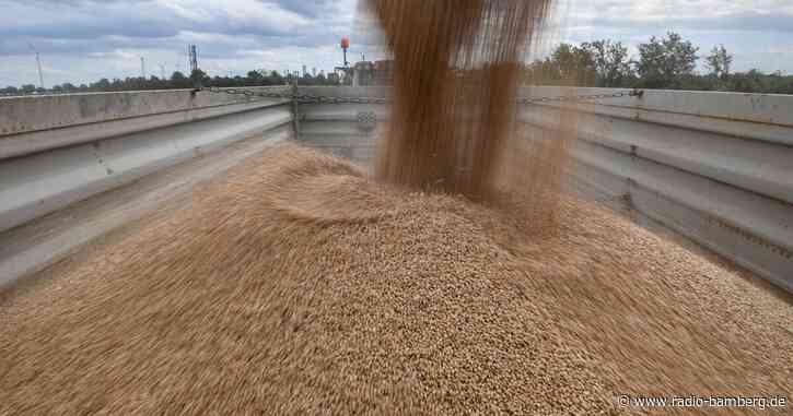 EU sieht Importverbote für ukrainisches Getreide kritisch