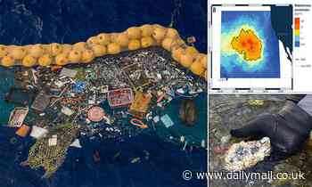 Ocean species found living on the 'Great Pacific Garbage Patch'