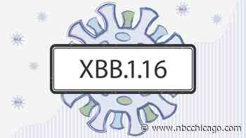 What to Know About Highly Transmissible ‘Arcturus' COVID Variant as New Symptom Emerges