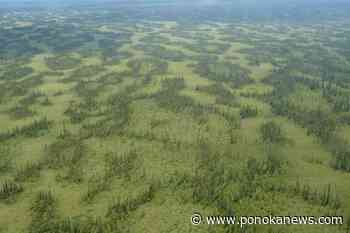 Alberta regulator reconsiders Fort Hills oilsands approval after critical report