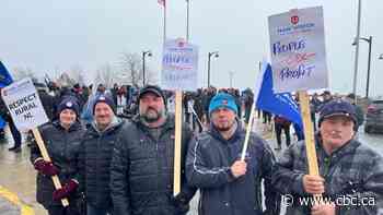 N.L.'s most lucrative fishery on hold as fishermen protest low price of snow crab