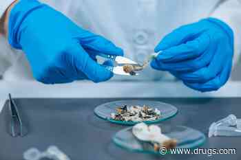 Psilocybin Appears Safe, Effective for Patients With Cancer and Major Depression