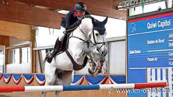 Station Maas J. Hell: Hengste zeigten sich bei Pferdezucht-Veranstaltung