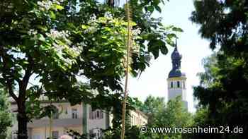 Natur in der Stadt: Stadtökologischer Themenweg startet am 22. April