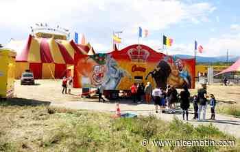 Cirque Zavatta à Antibes: les spectacles continuent malgré l’interdiction, les amendes pleuvent