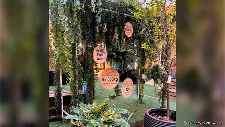 Pop-up plant shop at The Core shopping centre