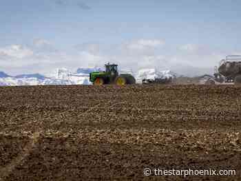 Prairie farmers hope for 'normal' season after volatile couple of years