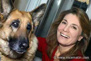 Discorde à la Fondation 30 millions d'amis, la justice saisie