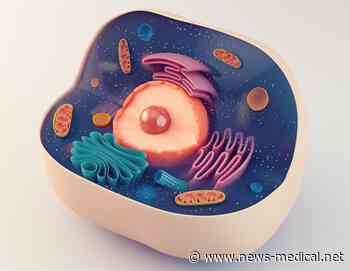 Combination treatment could improve stem cell transplantation process for multiple myeloma patients