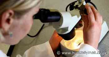 Antibiotic with no side effects could be on horizon as microbe clue found