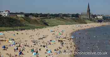 Hour-by-hour Met Office forecast shows sunshine and slightly warmer weather across Newcastle