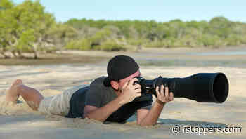 A Review of the Nikon Nikkor Z 600mm f/4 TC VR S Lens