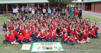 Planting trees in Boorowa Central School