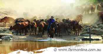 Giles will stay in charge of Gina Rinehart's agricultural assets