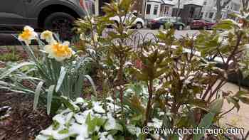 Freeze Warning Issued for Some as Chicago Area Braces for Roller Coaster Weather Week
