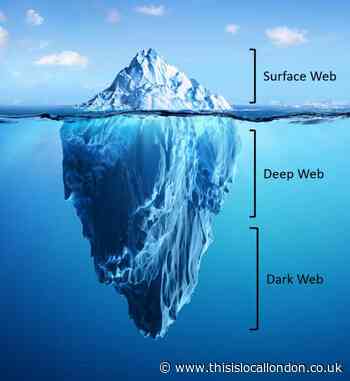 The Dark Web - Aritri Kumar, The Tiffin Girls' School