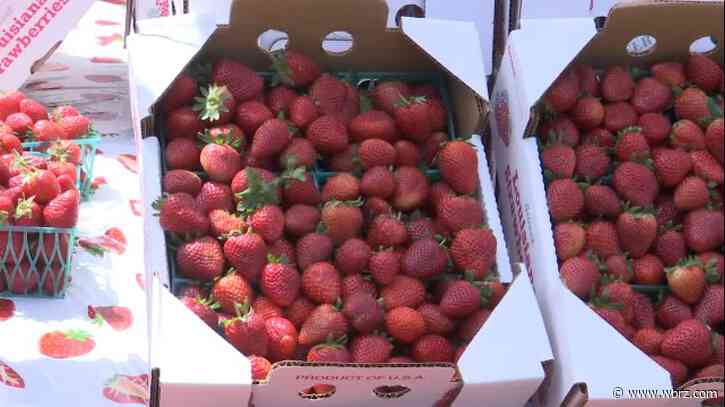Beautiful day brings huge turnout for Ponchatoula Strawberry Festival on Sunday