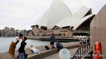 Chinese tourism is at one-fifth what it was in 2019, and COVID-19 isn't to blame