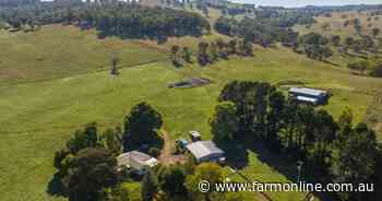 High performance breeding and fattening opportunity