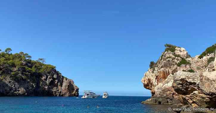 Hai verirrt sich an Strand von Mallorca