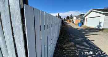 Calgary police seek information, dashcam footage after woman found in alley