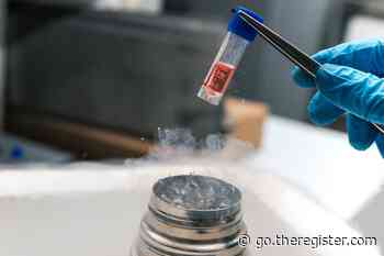 Stem cells to be made on orbiting space station to test micrograv manufacturing