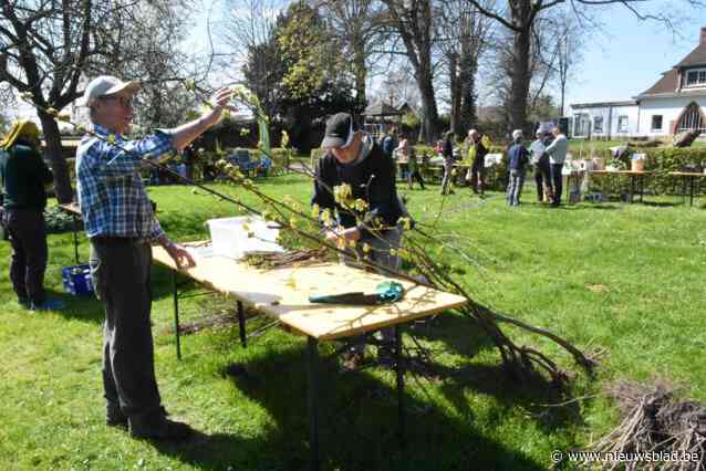 Hernenaren ruilen plantjes uit eigen tuin