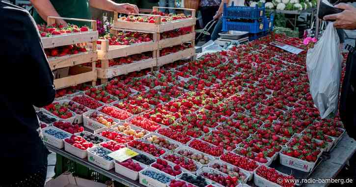 Erste deutsche Erdbeeren in Supermärkten: Bayern später dran