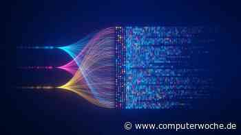 Studien-Preview: KI bringt Ordnung ins Datenchaos