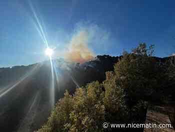 L’incendie de La Trinité est fixé selon le Sdis, les pompiers restent à pied d'œuvre ce mardi matin
