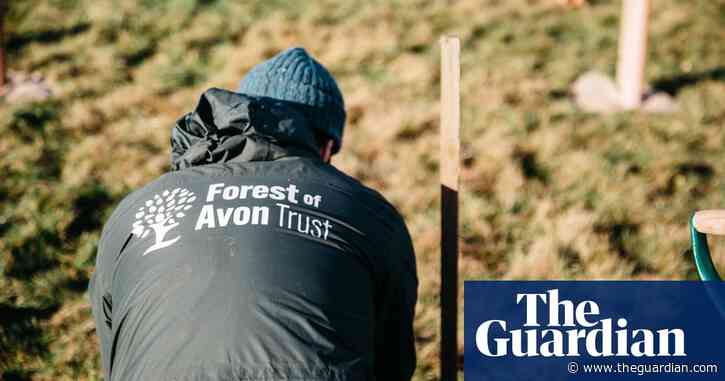 Dig in: how to build a forest from scratch – in pictures