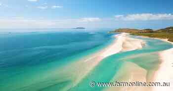 Unique island cattle station delivers reef and beef living