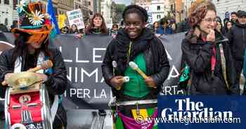 Italy captures brown bear that fatally mauled jogger