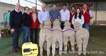 Tilba Tilba and Codji Springs win breeders' group