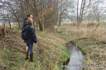Untere Wasserbehörde begutachtet zwei Fließgewässer in Löhne