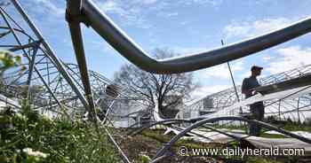 'I can't believe the response': Grayslake farmers blown away by support after windstorm damage
