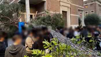 Albero crolla nel viale della Luiss, paura all'università