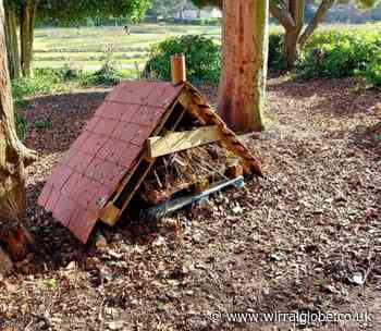 Bug hotel set on fire in Wirral park
