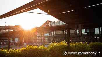 "Cortile", vino, cibo e libertà a Testaccio