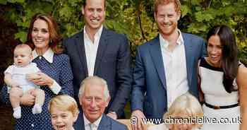 Prince Harry and Meghan feature in 'awkward' King Charles Coronation photo