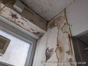 Hackney mum calls for annual mould checks in council flats