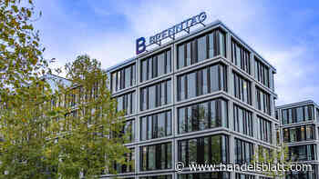 Attacken nehmen zu: Bayer, Pfandbriefbank, Brenntag: Deutsche Konzerne werden zum bevorzugten Ziel aktivistischer Aktionäre