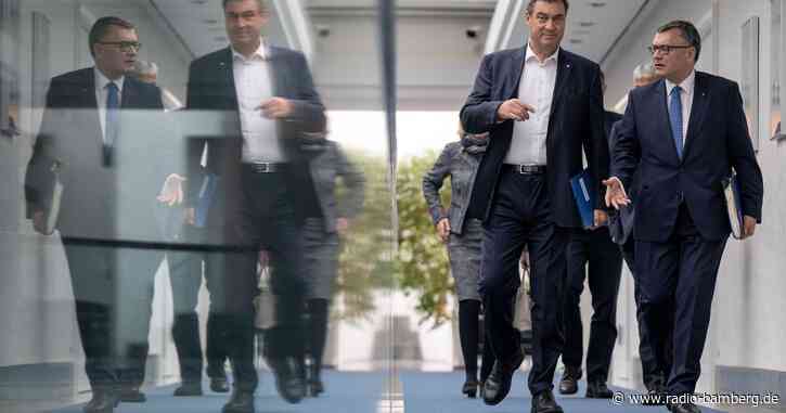Söder: Bayern wird Abschuss von Wölfen deutlich erleichtern